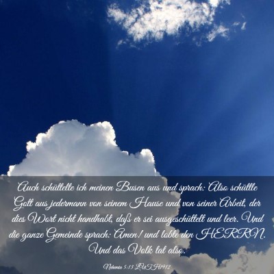 Picture 03 - Nehemia 5:13 LUTH1912 - Auch schüttelte ich meinen Busen aus und sprach: - Bible Verse Picture