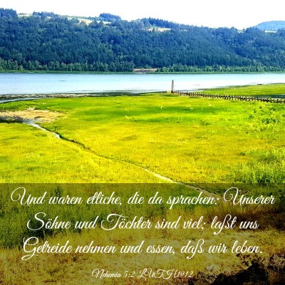Picture 03 - Nehemia 5:2 LUTH1912 - Und waren etliche, die da sprachen: Unserer - Bible Verse Picture