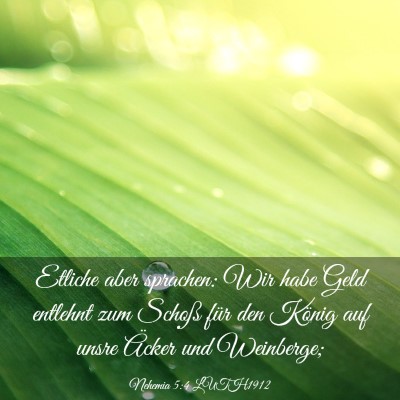 Picture 03 - Nehemia 5:4 LUTH1912 - Etliche aber sprachen: Wir habe Geld entlehnt zum - Bible Verse Picture