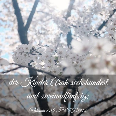 Picture 03 - Nehemia 7:10 LUTH1912 - der Kinder Arah sechshundert und - Bible Verse Picture