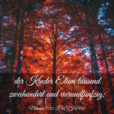 Picture 03 - Nehemia 7:12 LUTH1912 - der Kinder Elam tausend zweihundert und - Bible Verse Picture