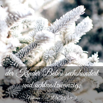 Picture 03 - Nehemia 7:16 LUTH1912 - der Kinder Bebai sechshundert und - Bible Verse Picture