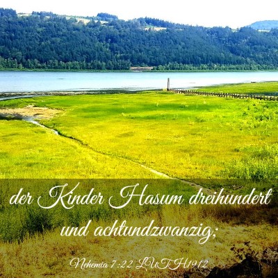 Picture 03 - Nehemia 7:22 LUTH1912 - der Kinder Hasum dreihundert und - Bible Verse Picture