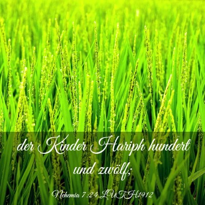 Picture 03 - Nehemia 7:24 LUTH1912 - der Kinder Hariph hundert und - Bible Verse Picture