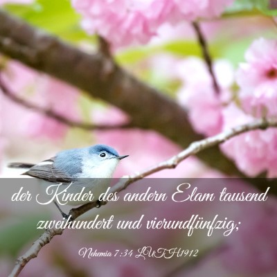 Picture 03 - Nehemia 7:34 LUTH1912 - der Kinder des andern Elam tausend zweihundert - Bible Verse Picture