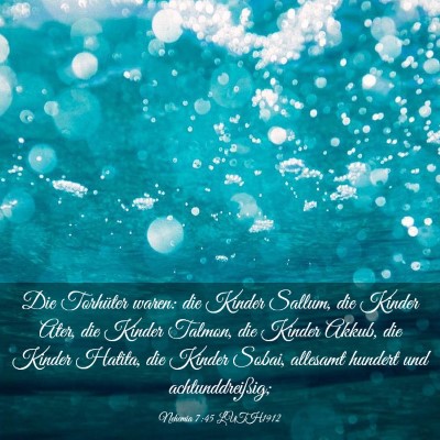 Picture 03 - Nehemia 7:45 LUTH1912 - Die Torhüter waren: die Kinder Sallum, die - Bible Verse Picture