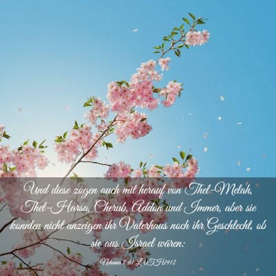 Picture 03 - Nehemia 7:61 LUTH1912 - Und diese zogen auch mit herauf von Thel-Melah, - Bible Verse Picture