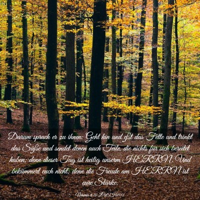 Picture 03 - Nehemia 8:10 LUTH1912 - Darum sprach er zu ihnen: Geht hin und eßt das - Bible Verse Picture