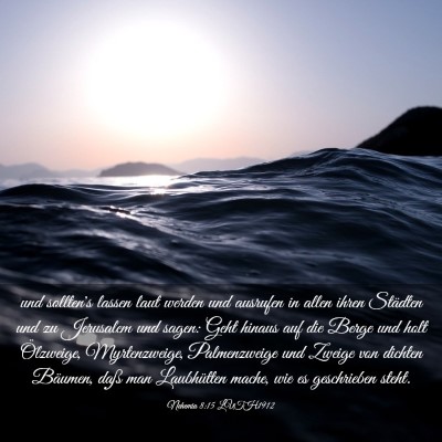 Picture 03 - Nehemia 8:15 LUTH1912 - und sollten's lassen laut werden und ausrufen in - Bible Verse Picture