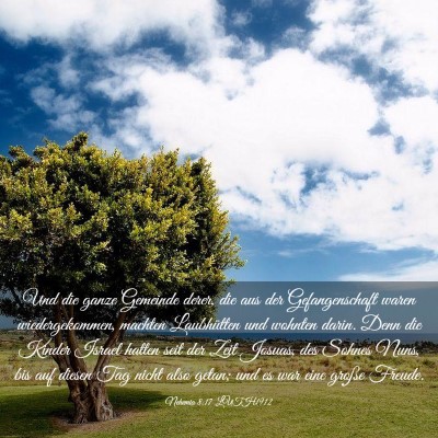 Picture 03 - Nehemia 8:17 LUTH1912 - Und die ganze Gemeinde derer, die aus der - Bible Verse Picture