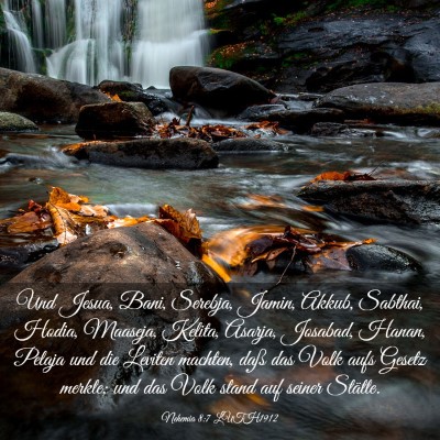 Picture 03 - Nehemia 8:7 LUTH1912 - Und Jesua, Bani, Serebja, Jamin, Akkub, Sabthai, - Bible Verse Picture