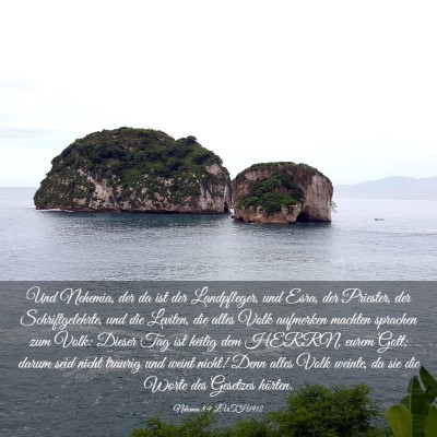 Picture 03 - Nehemia 8:9 LUTH1912 - Und Nehemia, der da ist der Landpfleger, und - Bible Verse Picture