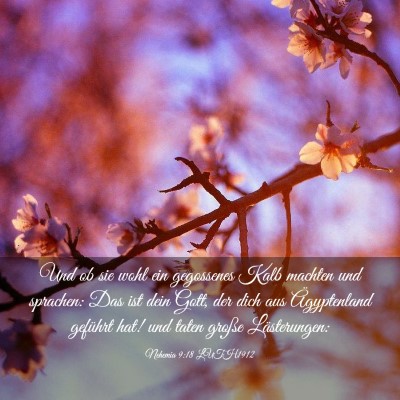 Picture 03 - Nehemia 9:18 LUTH1912 - Und ob sie wohl ein gegossenes Kalb machten und - Bible Verse Picture