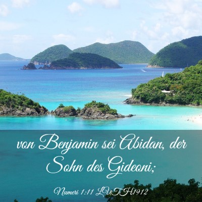 Picture 03 - Numeri 1:11 LUTH1912 - von Benjamin sei Abidan, der Sohn des - Bible Verse Picture