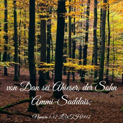 Picture 03 - Numeri 1:12 LUTH1912 - von Dan sei Ahieser, der Sohn - Bible Verse Picture