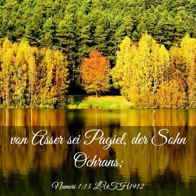 Picture 03 - Numeri 1:13 LUTH1912 - von Asser sei Pagiel, der Sohn - Bible Verse Picture