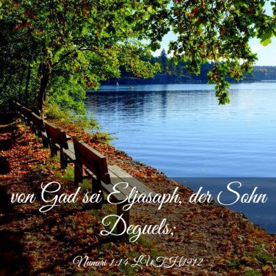 Picture 03 - Numeri 1:14 LUTH1912 - von Gad sei Eljasaph, der Sohn - Bible Verse Picture