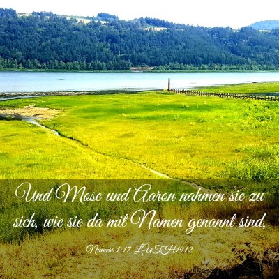 Picture 03 - Numeri 1:17 LUTH1912 - Und Mose und Aaron nahmen sie zu sich, wie sie da - Bible Verse Picture