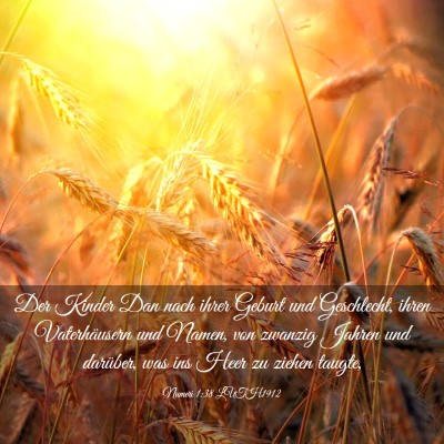 Picture 03 - Numeri 1:38 LUTH1912 - Der Kinder Dan nach ihrer Geburt und Geschlecht, - Bible Verse Picture