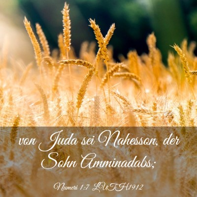 Picture 03 - Numeri 1:7 LUTH1912 - von Juda sei Nahesson, der Sohn - Bible Verse Picture