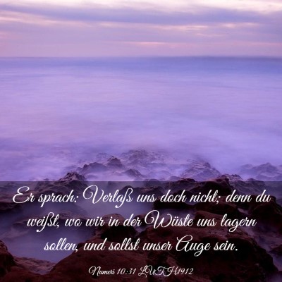 Picture 03 - Numeri 10:31 LUTH1912 - Er sprach: Verlaß uns doch nicht; denn du - Bible Verse Picture