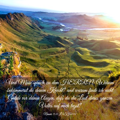 Picture 03 - Numeri 11:11 LUTH1912 - Und Mose sprach zu dem HERRN: Warum bekümmerst - Bible Verse Picture