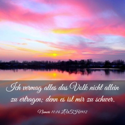 Picture 03 - Numeri 11:14 LUTH1912 - Ich vermag alles das Volk nicht allein zu - Bible Verse Picture