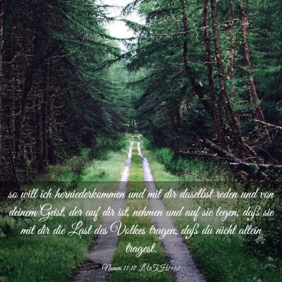 Picture 03 - Numeri 11:17 LUTH1912 - so will ich herniederkommen und mit dir daselbst - Bible Verse Picture