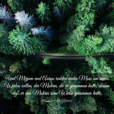 Picture 03 - Numeri 12:1 LUTH1912 - Und Mirjam und Aaron redeten wider Mose um seines - Bible Verse Picture