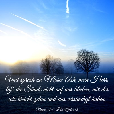 Picture 03 - Numeri 12:11 LUTH1912 - Und sprach zu Mose: Ach, mein Herr, laß die - Bible Verse Picture
