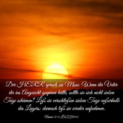 Picture 03 - Numeri 12:14 LUTH1912 - Der HERR sprach zu Mose: Wenn ihr Vater ihr ins - Bible Verse Picture
