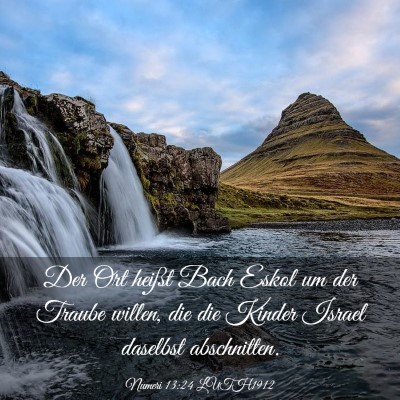 Picture 03 - Numeri 13:24 LUTH1912 - Der Ort heißt Bach Eskol um der Traube willen, - Bible Verse Picture