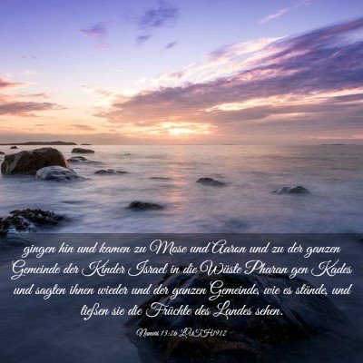 Picture 03 - Numeri 13:26 LUTH1912 - gingen hin und kamen zu Mose und Aaron und zu der - Bible Verse Picture
