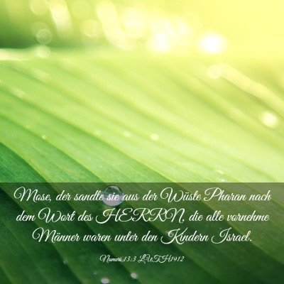 Picture 03 - Numeri 13:3 LUTH1912 - Mose, der sandte sie aus der Wüste Pharan nach - Bible Verse Picture