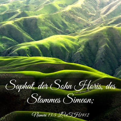 Picture 03 - Numeri 13:5 LUTH1912 - Saphat, der Sohn Horis, des Stammes - Bible Verse Picture