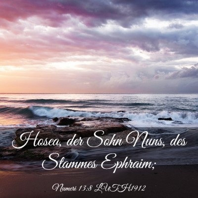 Picture 03 - Numeri 13:8 LUTH1912 - Hosea, der Sohn Nuns, des Stammes - Bible Verse Picture