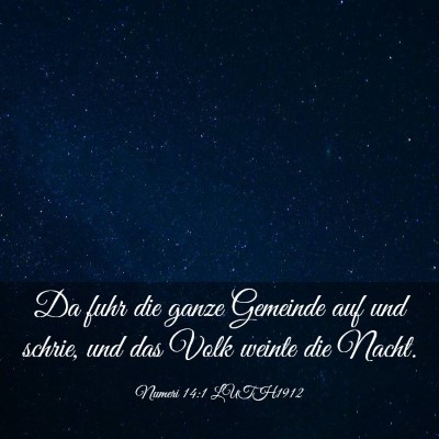 Picture 03 - Numeri 14:1 LUTH1912 - Da fuhr die ganze Gemeinde auf und schrie, und - Bible Verse Picture