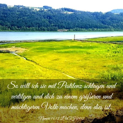 Picture 03 - Numeri 14:12 LUTH1912 - So will ich sie mit Pestilenz schlagen und - Bible Verse Picture