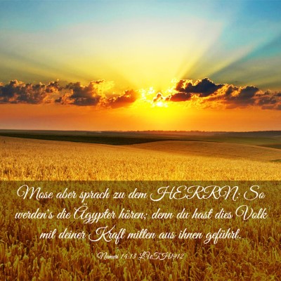Picture 03 - Numeri 14:13 LUTH1912 - Mose aber sprach zu dem HERRN: So werden's die - Bible Verse Picture