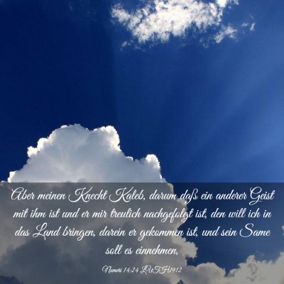 Picture 03 - Numeri 14:24 LUTH1912 - Aber meinen Knecht Kaleb, darum daß ein anderer - Bible Verse Picture