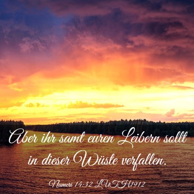 Picture 03 - Numeri 14:32 LUTH1912 - Aber ihr samt euren Leibern sollt in dieser - Bible Verse Picture