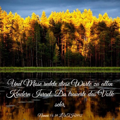 Picture 03 - Numeri 14:39 LUTH1912 - Und Mose redete diese Worte zu allen Kindern - Bible Verse Picture