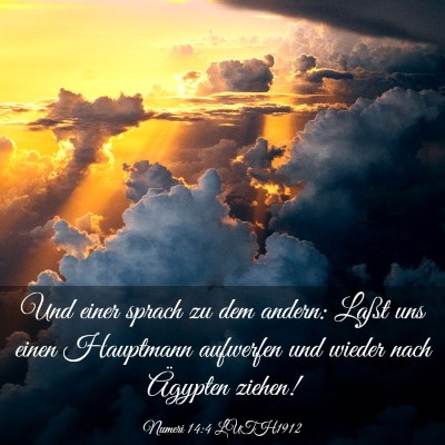 Picture 03 - Numeri 14:4 LUTH1912 - Und einer sprach zu dem andern: Laßt uns einen - Bible Verse Picture