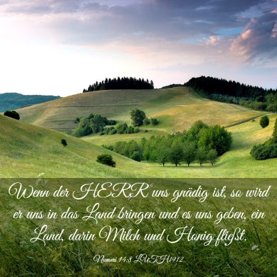 Picture 03 - Numeri 14:8 LUTH1912 - Wenn der HERR uns gnädig ist, so wird er uns in - Bible Verse Picture