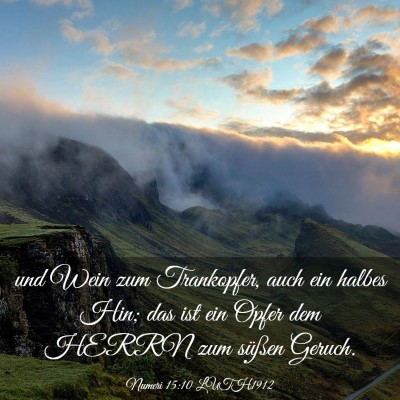 Picture 03 - Numeri 15:10 LUTH1912 - und Wein zum Trankopfer, auch ein halbes Hin; das - Bible Verse Picture