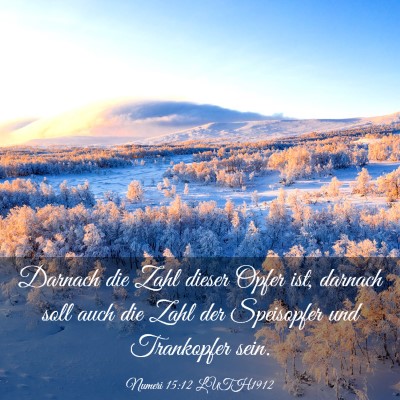 Picture 03 - Numeri 15:12 LUTH1912 - Darnach die Zahl dieser Opfer ist, darnach soll - Bible Verse Picture