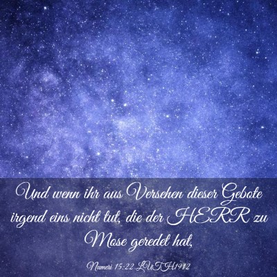 Picture 03 - Numeri 15:22 LUTH1912 - Und wenn ihr aus Versehen dieser Gebote irgend - Bible Verse Picture