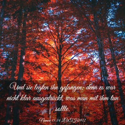 Picture 03 - Numeri 15:34 LUTH1912 - Und sie legten ihn gefangen; denn es war nicht - Bible Verse Picture