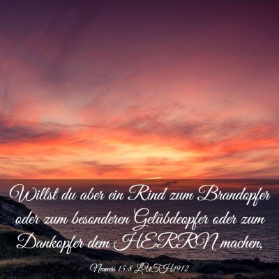 Picture 03 - Numeri 15:8 LUTH1912 - Willst du aber ein Rind zum Brandopfer oder zum - Bible Verse Picture