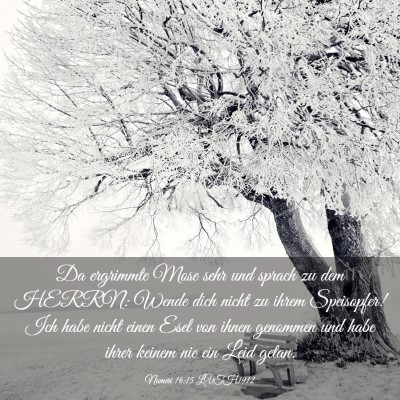 Picture 03 - Numeri 16:15 LUTH1912 - Da ergrimmte Mose sehr und sprach zu dem HERRN: - Bible Verse Picture